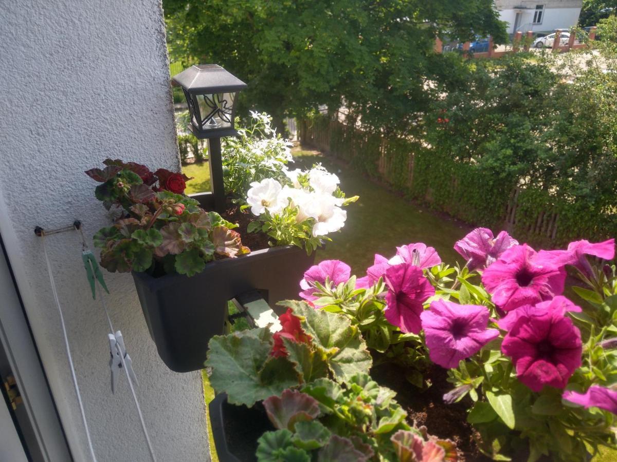 Apartament Olivia Centrum Z Zamknietym Parkingiem Gdansk Exterior foto